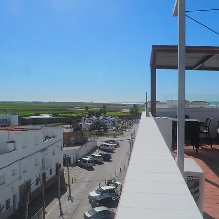 Conilplus Ramon Y Cajal *