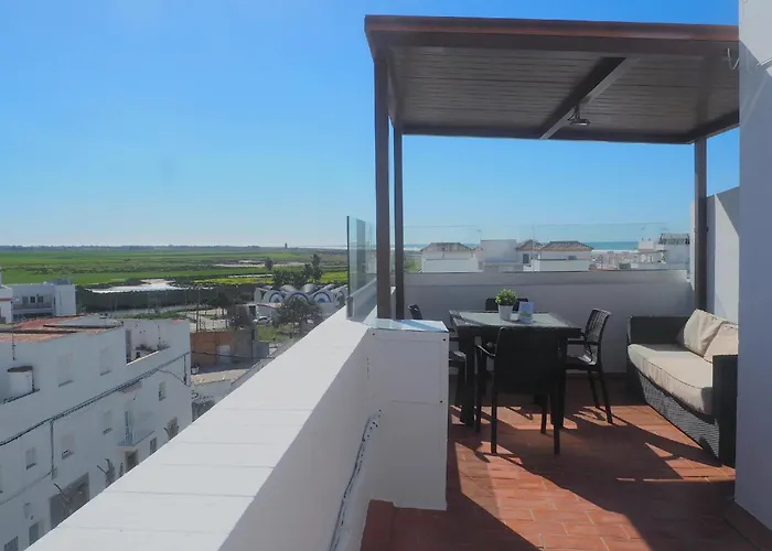 Conilplus Ramon Y Cajal *