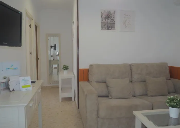 Conilplus Ramon Y Cajal