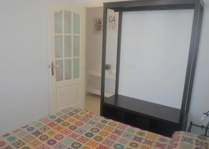 Conilplus Ramon Y Cajal