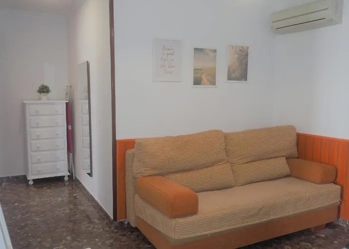 Conilplus Ramon Y Cajal *