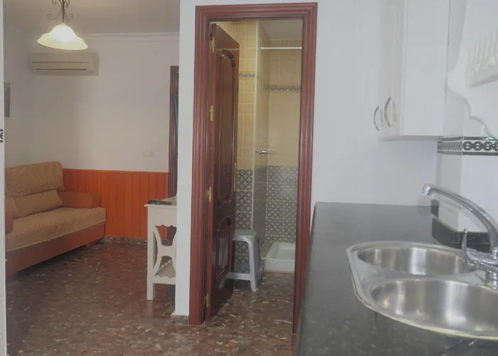 Conilplus Ramon Y Cajal