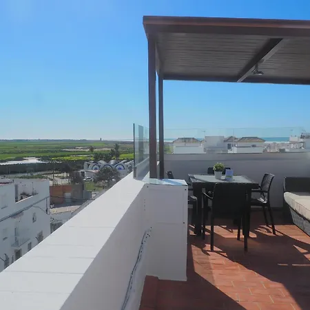 Conilplus Ramon Y Cajal *