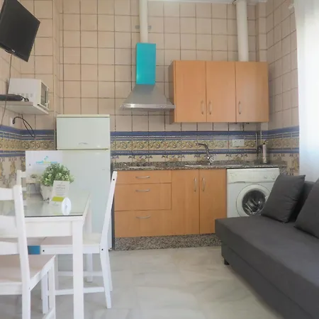 Conilplus Ramon Y Cajal *