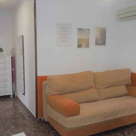 Conilplus Ramon Y Cajal *