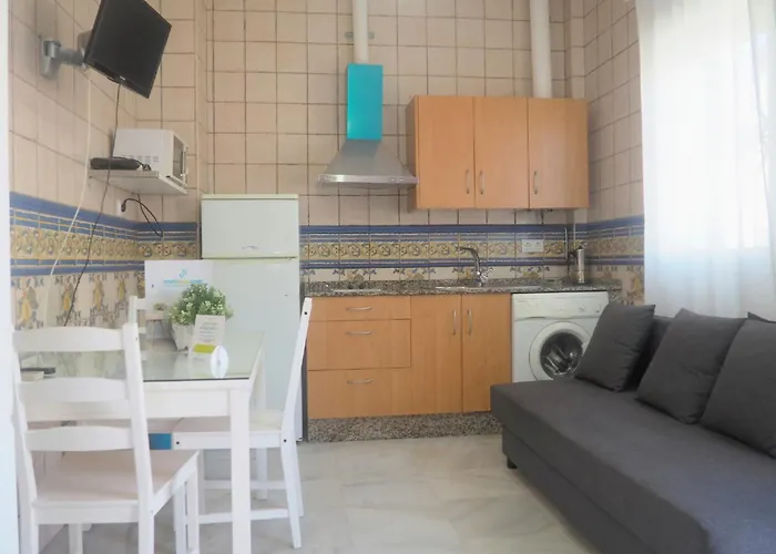 Conilplus Ramon Y Cajal *