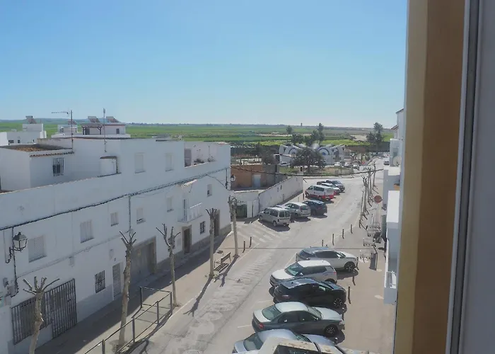 Conilplus Ramon Y Cajal