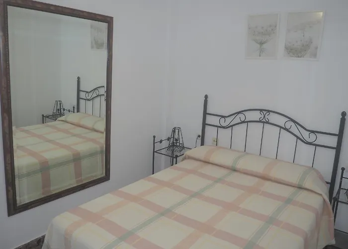 Conilplus Ramon Y Cajal