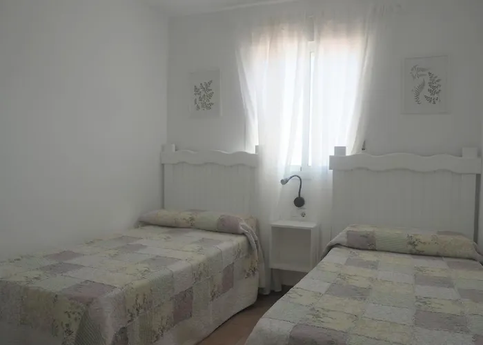 Conilplus Ramon Y Cajal *