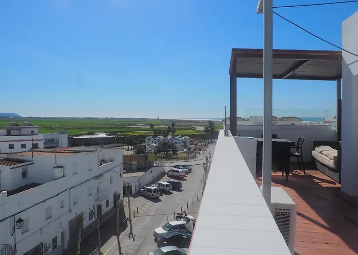 Conilplus Ramon Y Cajal *