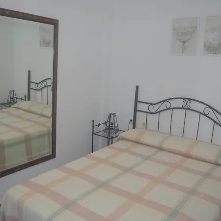 Conilplus Ramon Y Cajal