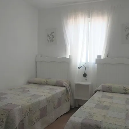 Conilplus Ramon Y Cajal *